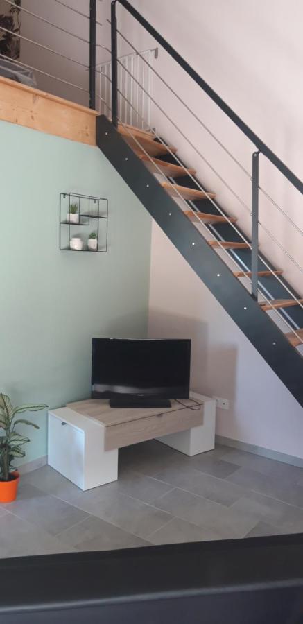 L Orchidee Appartement Saint-Martin-de-Saint-Maixent Buitenkant foto